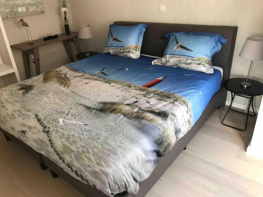 Casita Ostend City & Beach المظهر الخارجي الصورة