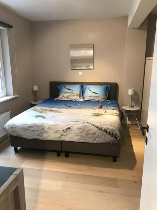 Casita Ostend City & Beach المظهر الخارجي الصورة
