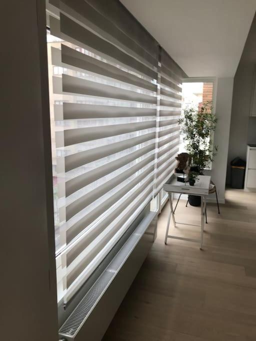 Casita Ostend City & Beach المظهر الخارجي الصورة